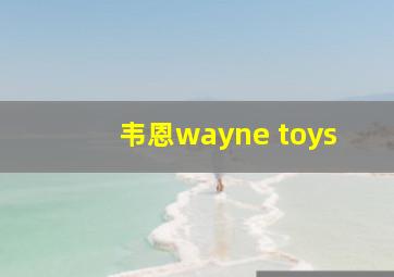 韦恩wayne toys